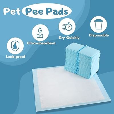 Non-woven Fabric Washable Pet Pee Dog Leak Proof Pee Pad for Wholesalers Fast Drying