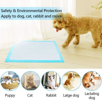 Non-woven Fabric Washable Pet Pee Dog Leak Proof Pee Pad for Wholesalers Fast Drying