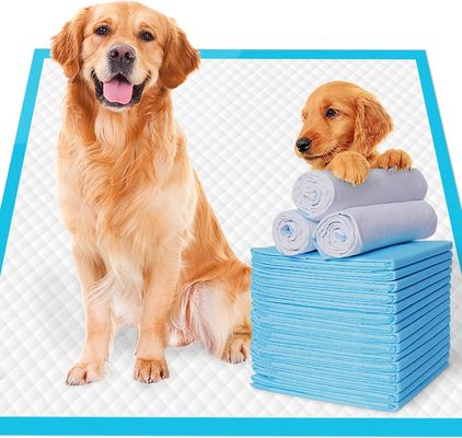 Dog Training Pee Pad for Sustainable Leak-Free Pet Potty Absorbent