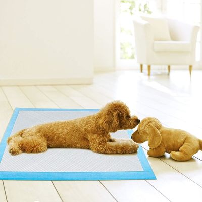 Water Proof Customization 56*56cm Non-woven Fabric Pet Pee Pads for Dogs Training