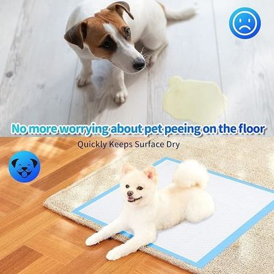 Puppy Diaper Training Disposable Pet Pee Pat Absorption Pet Training Mats for Dogs