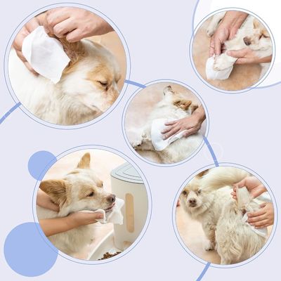 Biodegradable Natural Private Label Pet Wet Wipes for Gentle and Eco-Friendly Grooming