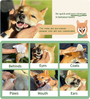 Biodegradable Natural Private Label Pet Wet Wipes for Gentle and Eco-Friendly Grooming