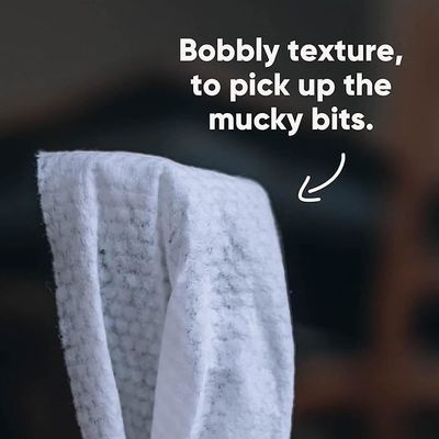 Biodegradable Natural Private Label Pet Wet Wipes for Gentle and Eco-Friendly Grooming