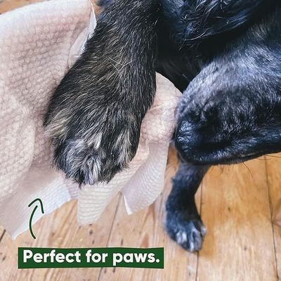 Convenient Disposable Pet Ear Wipes with Deodorant and Tear Stain Removal Function