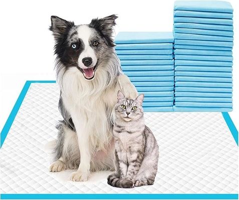 Disposable Pet Training Pads 56x56cm Large Dog Pee Pads For Puppies And  Animals