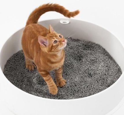 Easy Clean and Scent Control Pet Tofu Cat Litter with Customization Service Provided