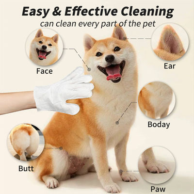 Customized Logo Acceptable 6PCS Pack Pet Cleaning Gloves for PET Grooming Wet Wipes