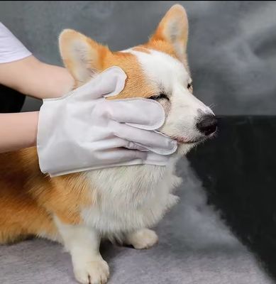Non-Woven Blue Package Cleaning Disposable Pet Grooming Gloves Wet Wipes For Dogs Cats