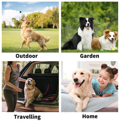 Non-Woven Blue Package Cleaning Disposable Pet Grooming Gloves Wet Wipes For Dogs Cats