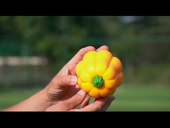 TPR Pumpkin Ball Shake Makes Giggle Sound Interactive Dog Toy for Herding and Training