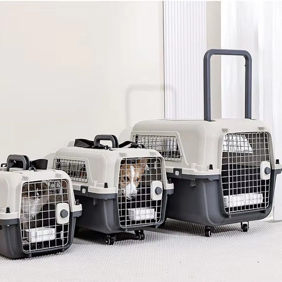 Pet Air Transport Box for Small Dogs and Cats Sustainable Hard Surface Travel Carrier