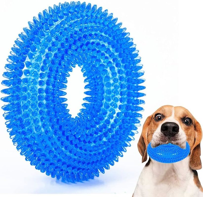Upgrade Your Dog's Playtime with Pet Dog Toy Toroidal Ball Bite Resistant and Fun