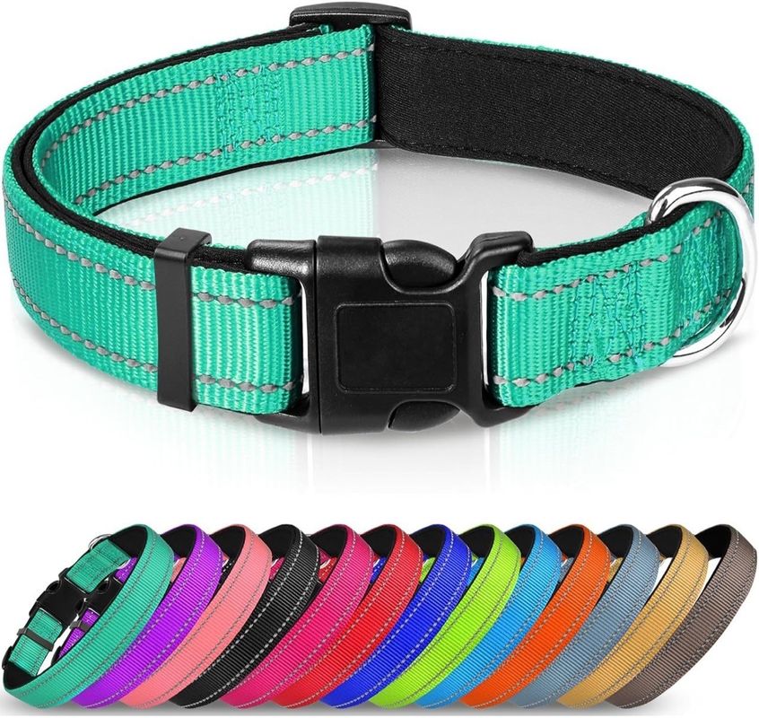 Medium-Sized Canines Custom Logo Reflective Dog Collar with Soft Neoprene Padding