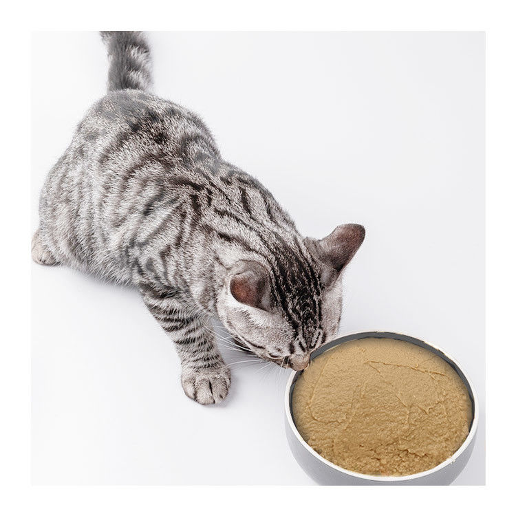 Pet Cat Wet Food Professional OEM Cat Food Lunch Box for Medium Breeds at Special Diet