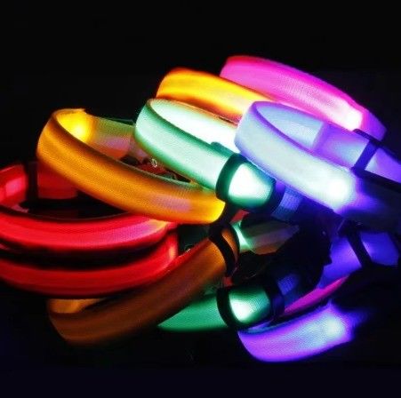 OEM/ODM Service Provided Custom Waterproof LED Pet Collar for Reflective Luminous Dog