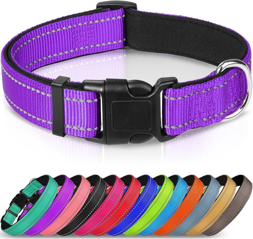 Personalized Logo Soft Neoprene Dog Collar Breathable and Comfortable for Active Dogs