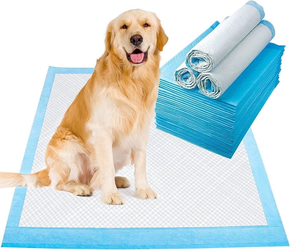 Customized Free Sample Pee Pad for Dog Back Side Waterproof Sanitary Dog Pee Training