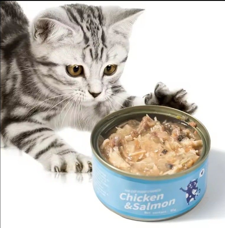 Custom Private Label Protein Wet Canned Cat Food for Health and Multiple Flavors