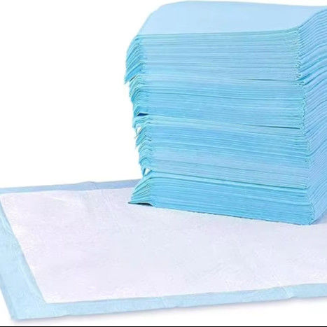 Puppy Pee Training Dog Training Pee Under Pad Super Absorbent Biodegradable Pet Urin Pad