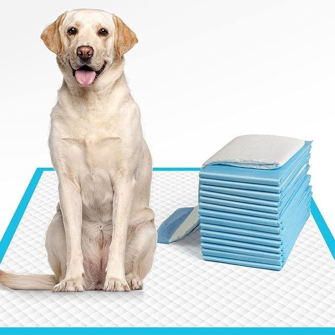 Non-woven Fabric Washable Pet Pee Dog Leak Proof Pee Pad for Wholesalers Fast Drying