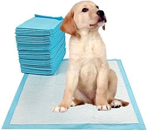 Small Animals Healthy Style Indoor Toilet Training Pet Pee Pad Absorbent 56 x 56 cm