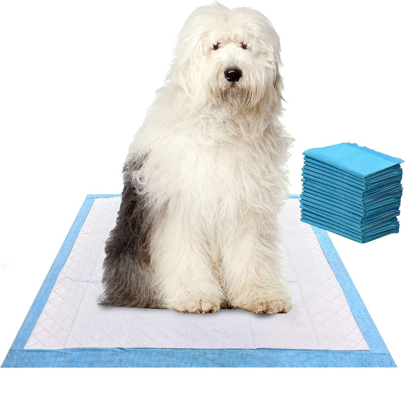 56*56cm Super-Absorbent Waterproof Disposable Pet Training Pad for Puppy Pee Training